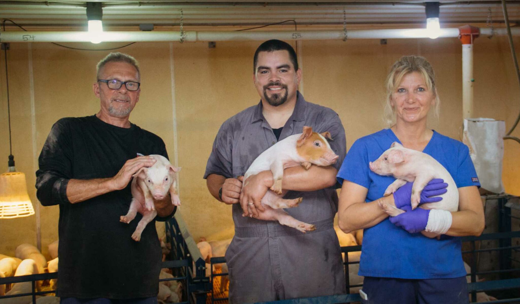 Christensen Farms Response to COVID-19 and Commitment to Producing Pork