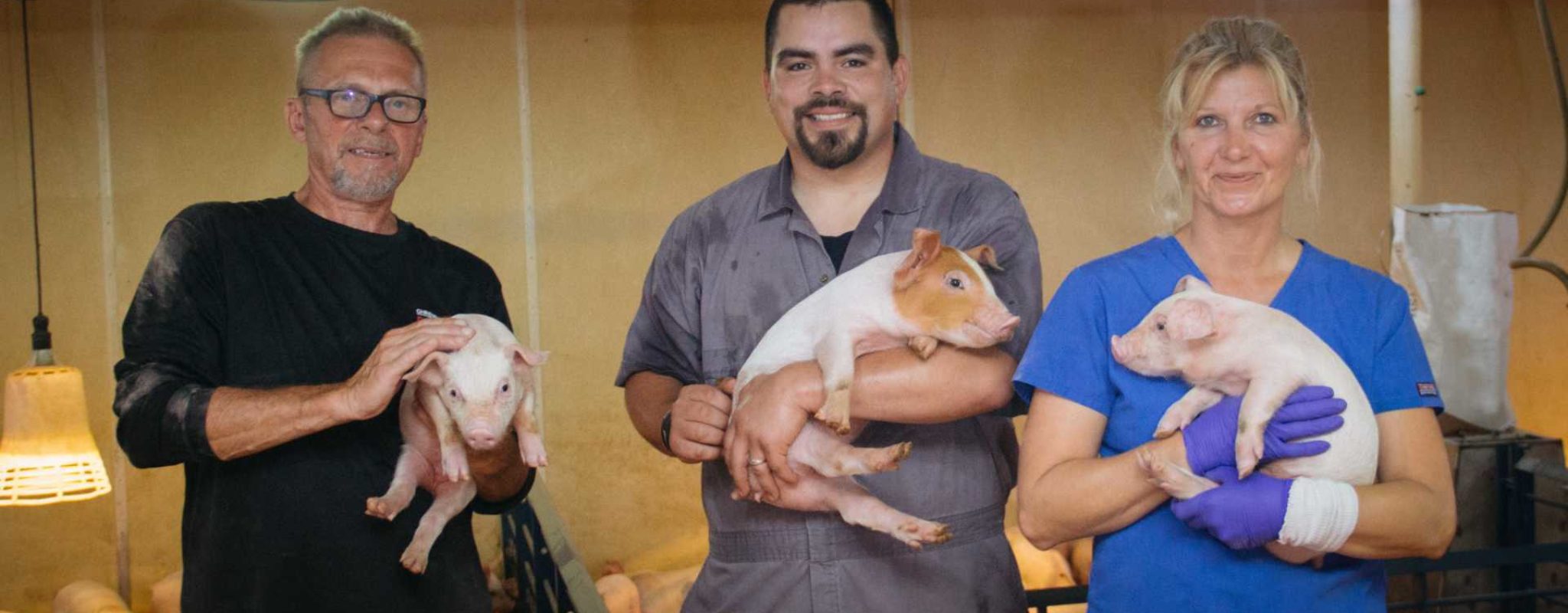 Christensen Farms Response to COVID-19 and Commitment to Producing Pork